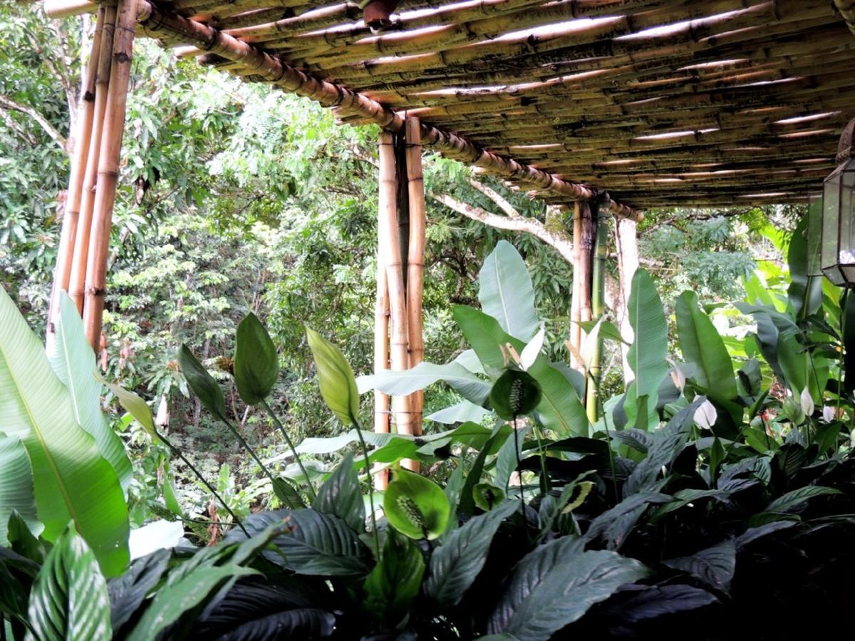 Sitio Alto Da Montanha - Voce Em Paz Com A Natureza Pacoti Ngoại thất bức ảnh