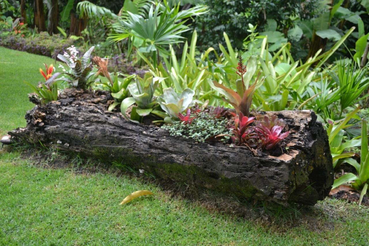 Sitio Alto Da Montanha - Voce Em Paz Com A Natureza Pacoti Ngoại thất bức ảnh