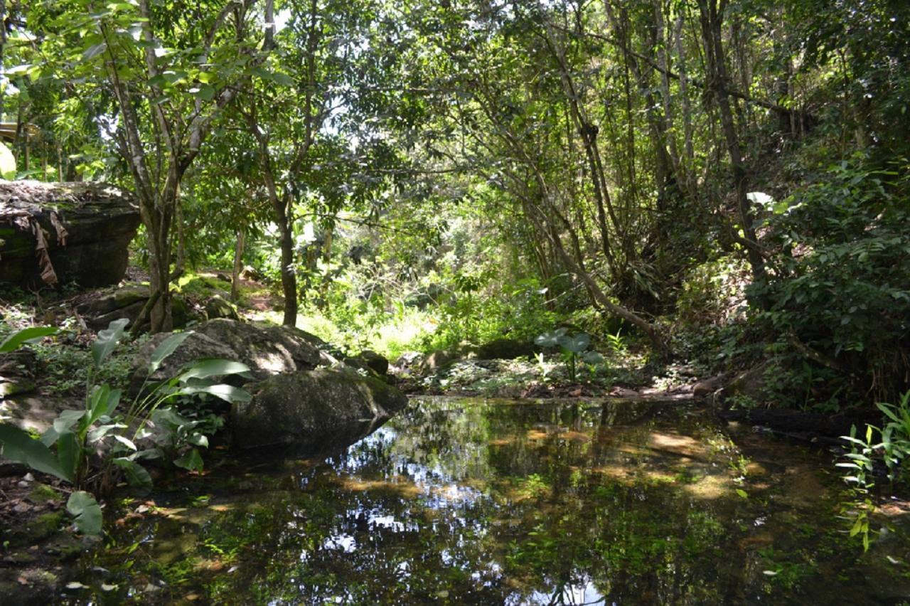 Sitio Alto Da Montanha - Voce Em Paz Com A Natureza Villa Pacoti Ngoại thất bức ảnh