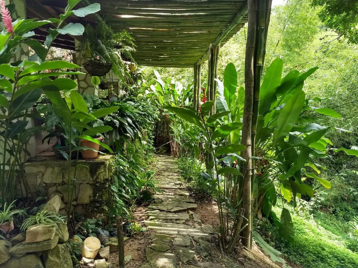 Sitio Alto Da Montanha - Voce Em Paz Com A Natureza Pacoti Ngoại thất bức ảnh