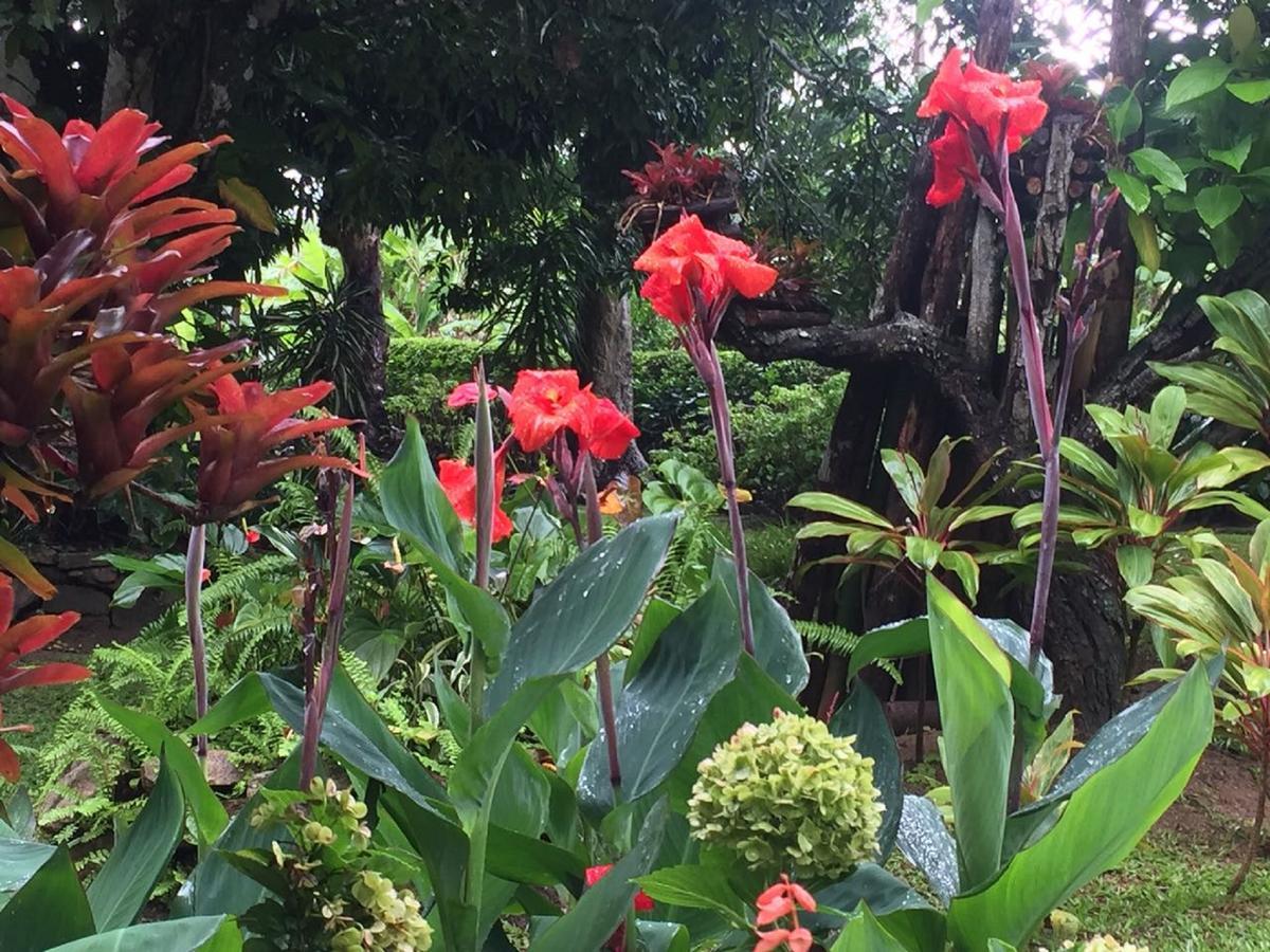 Sitio Alto Da Montanha - Voce Em Paz Com A Natureza Pacoti Ngoại thất bức ảnh